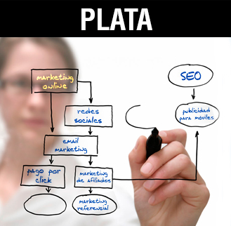 Seo y posicionamiento Plata Marketing on line Madrid