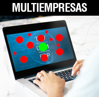 Programas de fidelizacion de clientes sistema multiempresas 