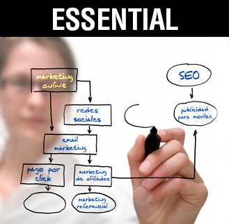 Seo Albacete, posicionamiento web Albacete, marketing online Albacete