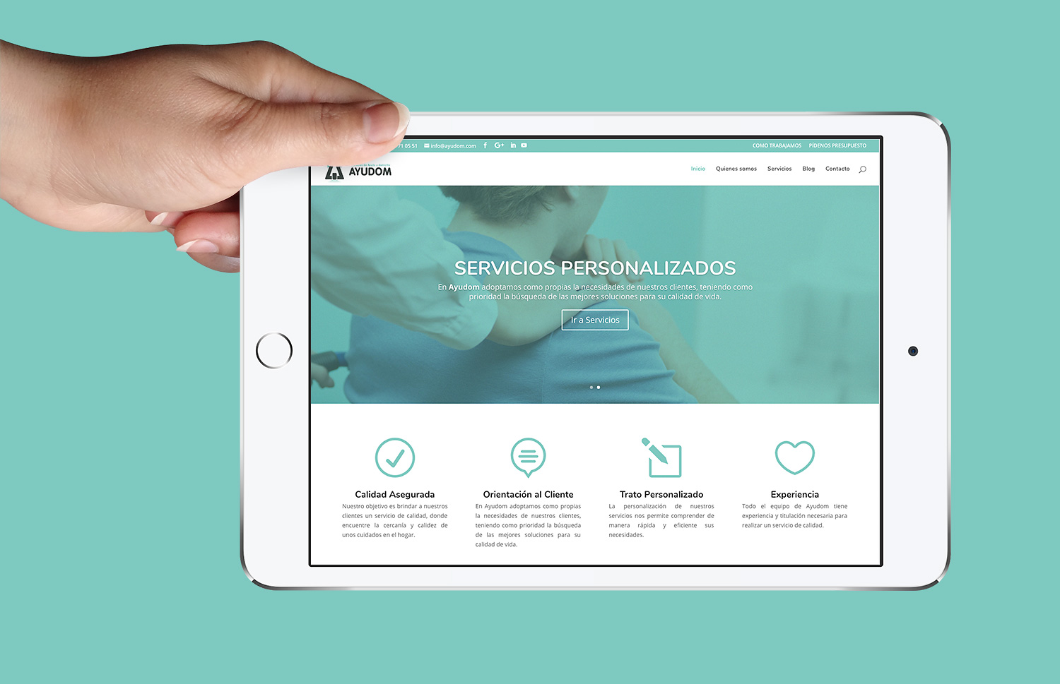 Diseño web albacete, diseño web a medida y programación página web Ayudom
