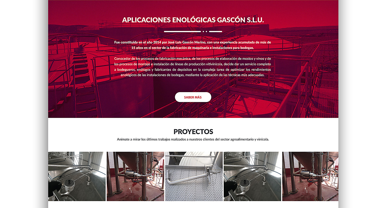 Diseño web albacete, Diseño grafico Albacete, redes sociales y SEO Gascón Aplicaciones Enológicas