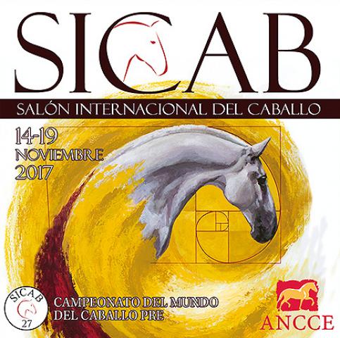 Diseño grafico Albacete, diseño grafico tarjetas pvc SICAB 2017 ANCCE